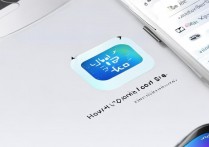 vivox9怎么改变图标大小?系统设置里能调吗?