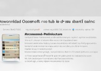 三星p350手机怎么下载应用软件？