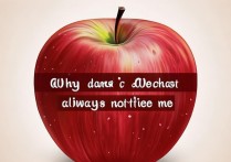 苹果微信总是不提醒是怎么回事？苹果手机微信消息不提醒怎么设置