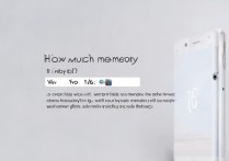 vivoy66怎么多少G内存