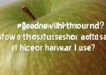 苹果说话没声音？设置或硬件问题怎么排查？