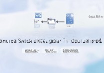 oppo恢复备份数据步骤是什么？