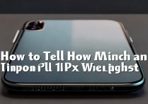 怎么辨别苹果11promax有多重