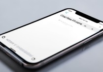 oppo9s语音助手在哪里