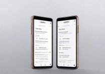 oppo跟oppo手机怎么互传app