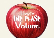 苹果怎么调大手机声音小