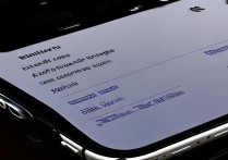 苹果7怎么设置固定屏幕大小