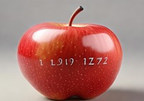 苹果手机怎么设置年月日显示格式？