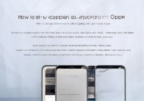 oppo手机通话壁纸怎么设置？详细步骤教给你