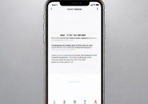 苹果6s怎么设置表情符号，iPhone6s表情符号设置方法