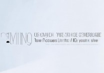 vivo y15t怎么开是3G，vivo y15t如何切换3G网络