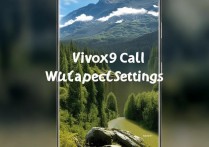 vivox9怎么设置通话壁纸，vivox9设置通话壁纸步骤