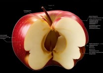 苹果板层断线怎么处理？苹果主板断线维修多少钱