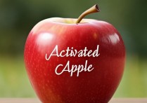 苹果激活过是怎么样的？如何查询苹果手机激活日期