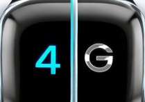 华为watch2怎么区分4g
