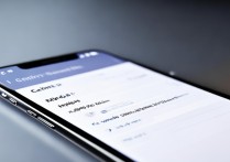 小米进入开发者模式