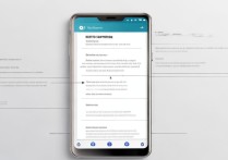 vivox5l怎么格式化