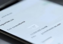 vivo电话设置怎么设置？详细步骤教你怎么操作。