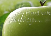 苹果怎么改设备名字？iPhone修改名称详细步骤