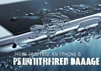 苹果6掉水里了怎么急救