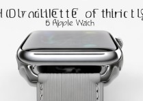 苹果手表怎么辨别真伪