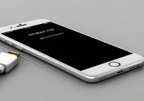 苹果手机插上充电线没反应怎么办啊