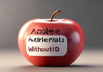 苹果不用id怎么激活