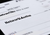 苹果6s移动电信版如何查看网络模式与信号状态？