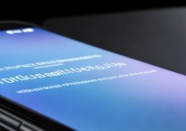 vivo最大内存是多少
