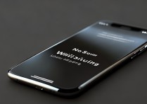 苹果手机放音乐没声音怎么回事