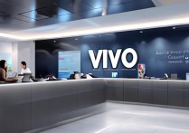 vivo 服务