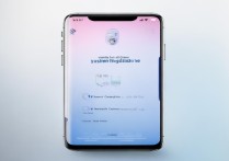 vivoy怎么升级系统