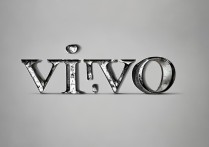 vivo字体下载