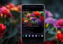 华为手机 p8 怎么拍微距？华为 p8 微距摄影技巧与参数设置详解