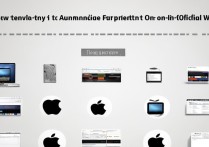 苹果官网查询真伪教程步骤是什么？