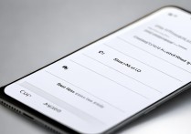 OPPO手机怎么设置无字模式？开启方法是什么？