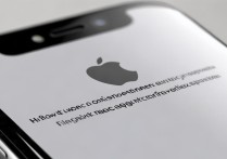 苹果7手机怎么查版本