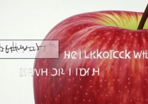 苹果怎么按home键解锁？苹果手机设置Home键解锁方法