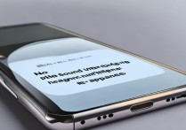 vivo手机插耳机没声音