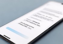 华为手机怎么关闭隐私保护功能？