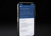 苹果怎么快捷设置数据，苹果手机数据快捷设置在哪里