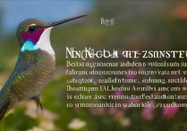 蜂鸟众包注销后怎么重新注册？蜂鸟众包注销后如何再次申请账号？