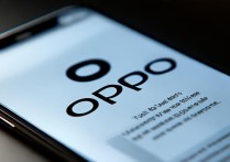 oppo停在oppo界面怎么办