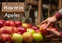 苹果是怎么换购的？苹果官方换购流程详解