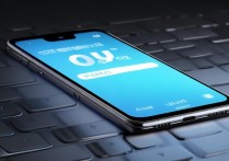 华为手机 输入不显示怎么办啊