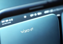 vivo默认主题设置文件在手机哪个文件夹里？