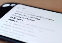 vivo怎么分享网络