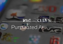 怎么查看苹果id购买的软件，苹果id购买记录在哪里看