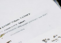 vivofold返回键自定义在哪设置？虚拟键怎么调？