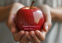 苹果怎么抱？抱苹果的正确姿势与注意事项全解析